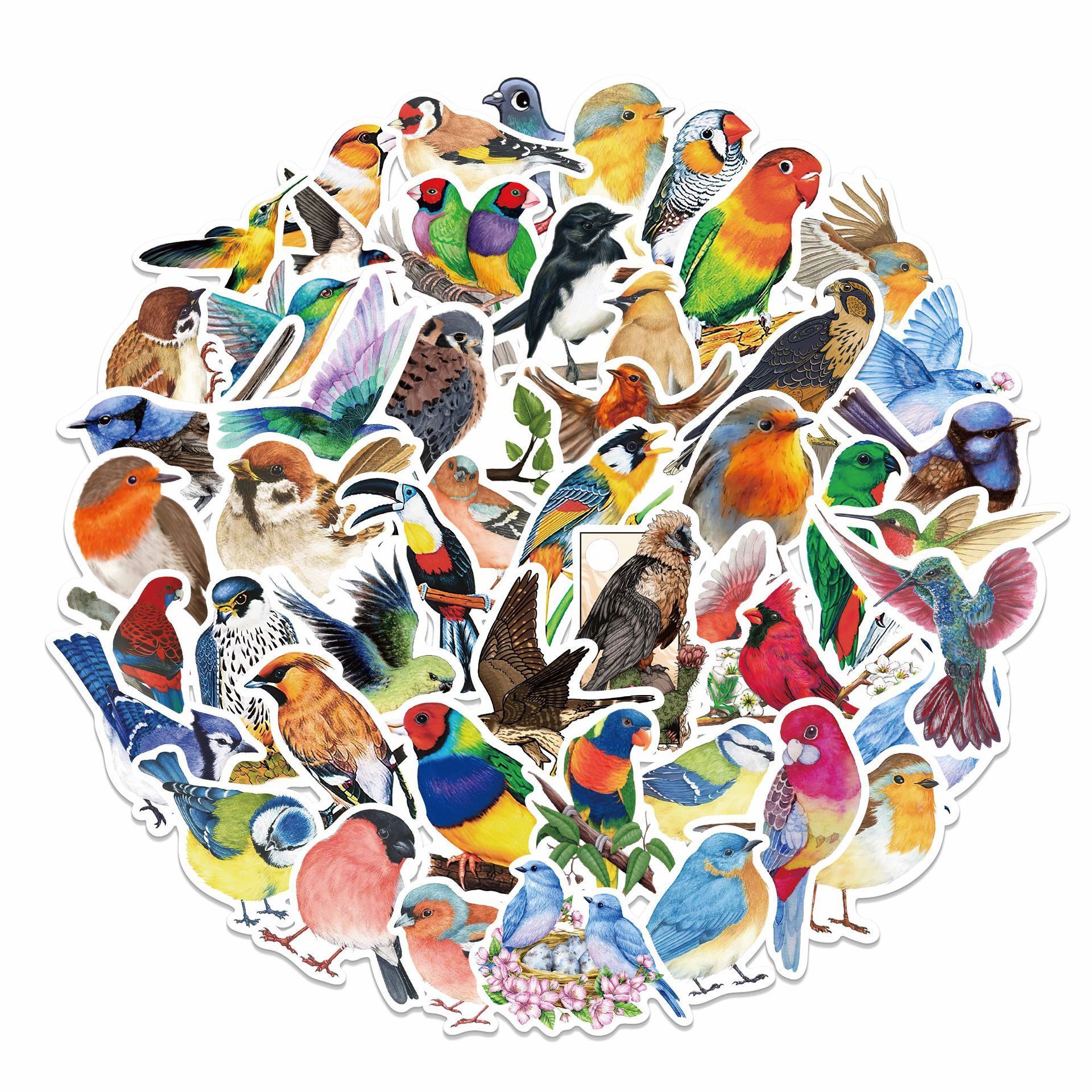 50Pcs Bird Stickers Waterproof Vinyl Bird Stickers for Kids Cartoon Bird Decals Animal for Kids Girls Water Bottles Stickers