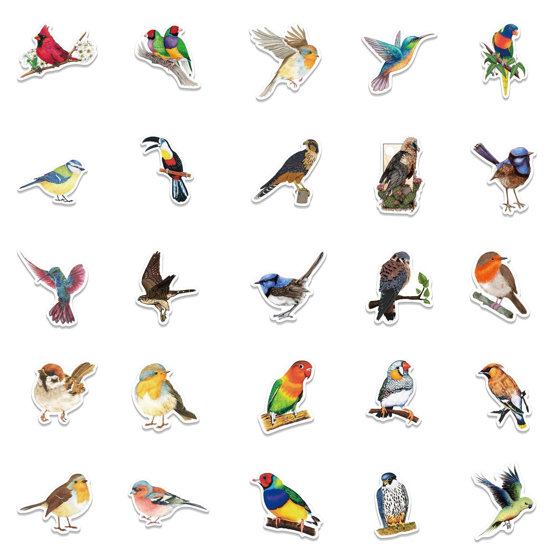 50Pcs Bird Stickers Waterproof Vinyl Bird Stickers for Kids Cartoon Bird Decals Animal for Kids Girls Water Bottles Stickers