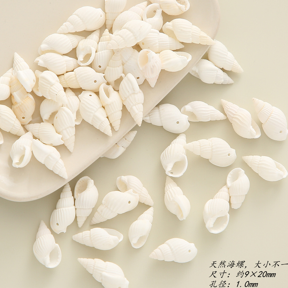 Wholesale Natural Mini Seashell Conch Seashell Cowrie For DIY Home Decoration Natural Craft Seashells