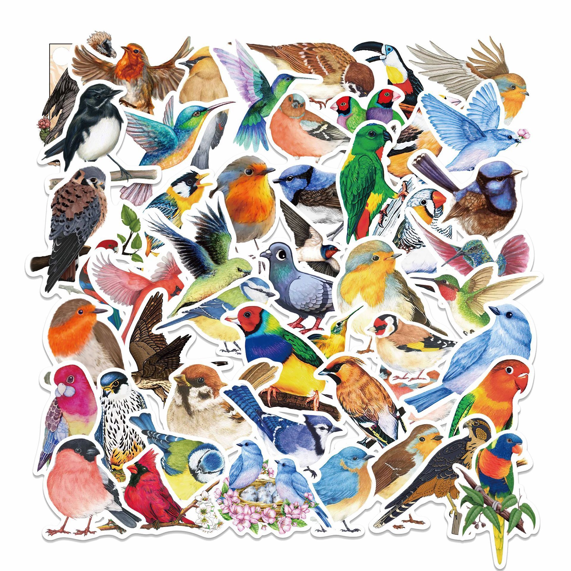 50Pcs Bird Stickers Waterproof Vinyl Bird Stickers for Kids Cartoon Bird Decals Animal for Kids Girls Water Bottles Stickers