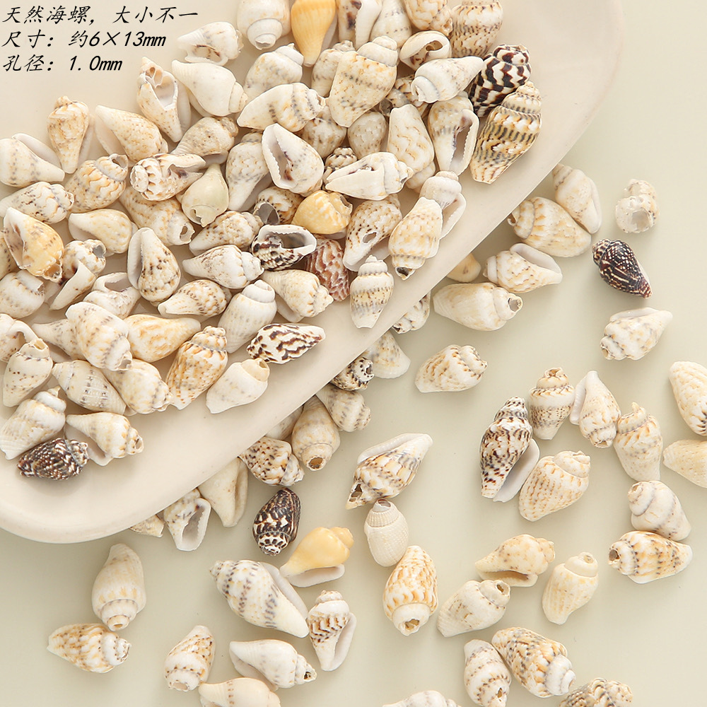 Wholesale Natural Mini Seashell Conch Seashell Cowrie For DIY Home Decoration Natural Craft Seashells