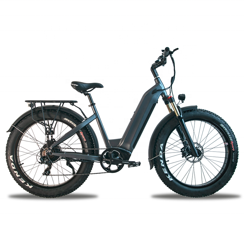 ASAP 48V17ah Electric Bicycle US EU Warehouse  26*4.0 inch  Fat Tire 750W Motor Adult E bike Electric Dirt Bike