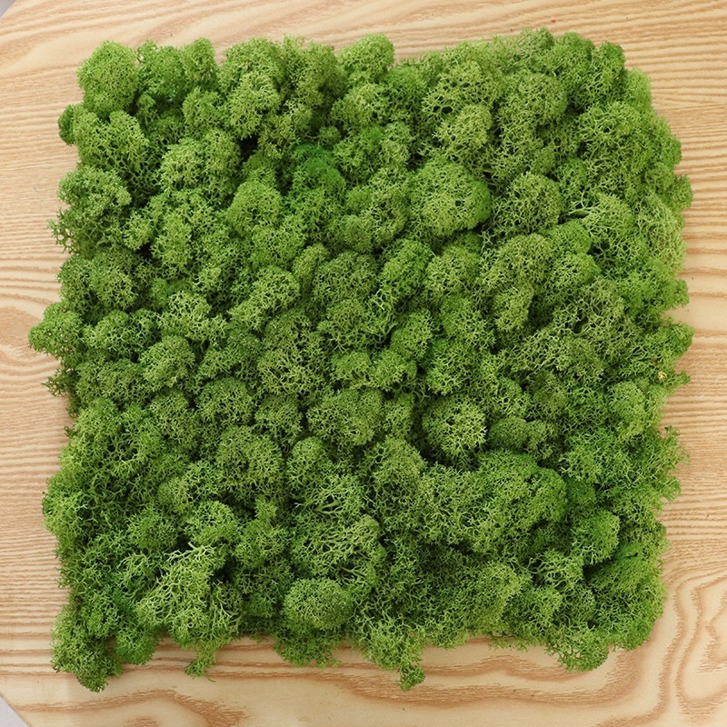 natural preserved moss multicolour reindeer flat moss wall panel decoration