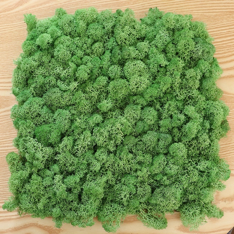 natural preserved moss multicolour reindeer flat moss wall panel decoration