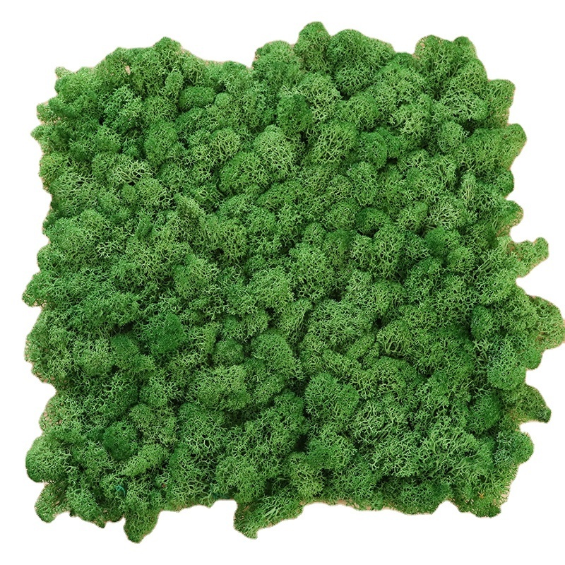 natural preserved moss multicolour reindeer flat moss wall panel decoration