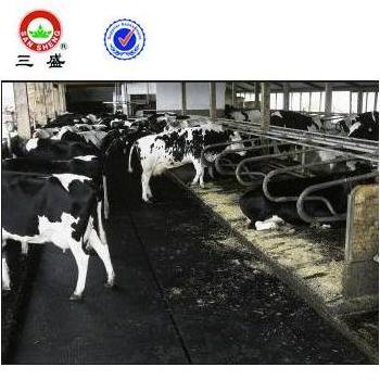 Cattle Bedding Dairy cow mat