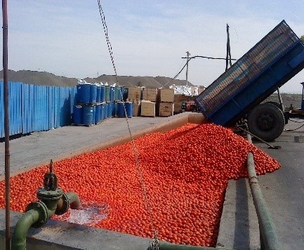 Small Scale Automatic Fresh Tomato Paste Sauce Processing Plant Machines Price