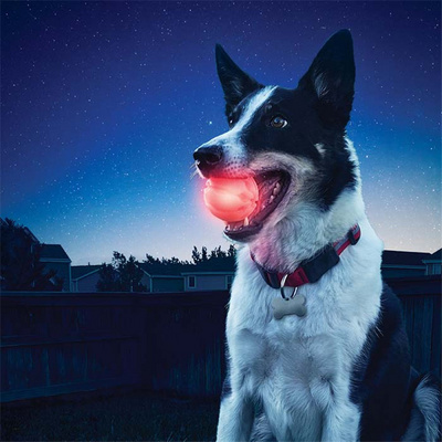 High Bouncing ball Flashing Light-up Bouncy Stress Disco Ball Pet Toy