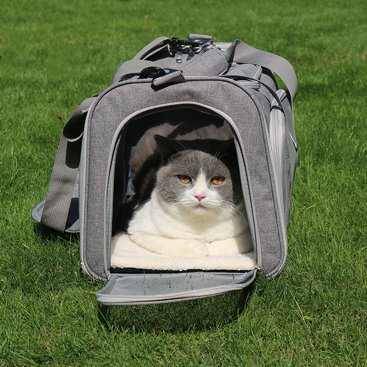 Wholesale Designer Pet Carrier Portable Dog Soft Pet Carrier Designer Bag Backpack for Small Medium Cats Dogs