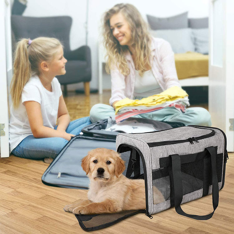 airline approved foldable cat carrier travel dog carrier basket Two Side Expansion pet cages houses luxury