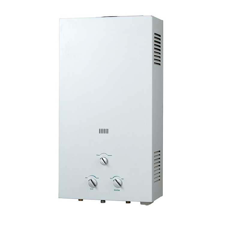 Flue type instant water gas heater gas water heater