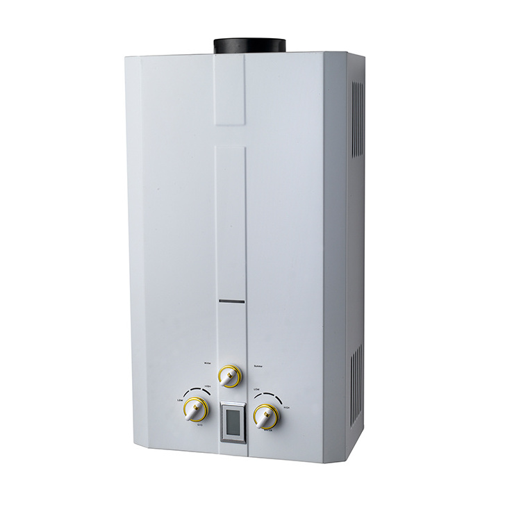 Flue type instant water gas heater gas water heater