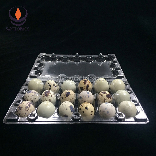 Plastic wholesale quail egg packing cartons