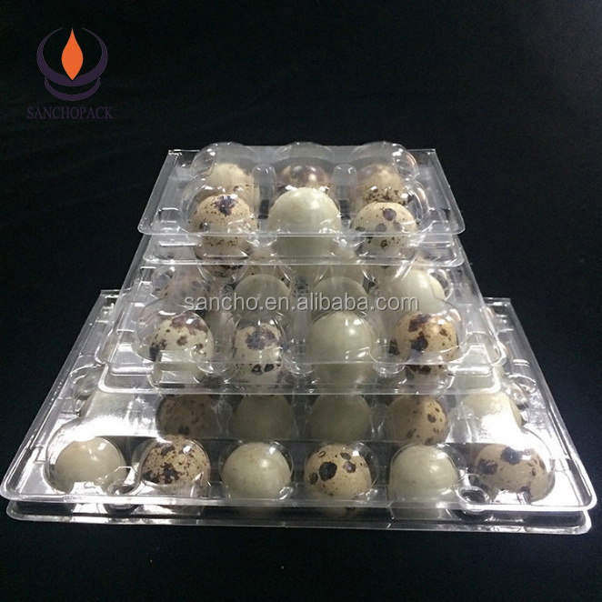 Plastic wholesale quail egg packing cartons