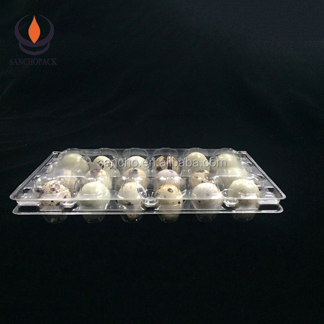 Plastic wholesale quail egg packing cartons