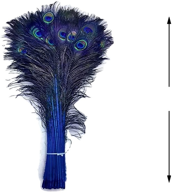 SANDOU Wholesale Natural Peacock Blue Feathers Bleached Dyed Peacock Feather For Samba Costumes