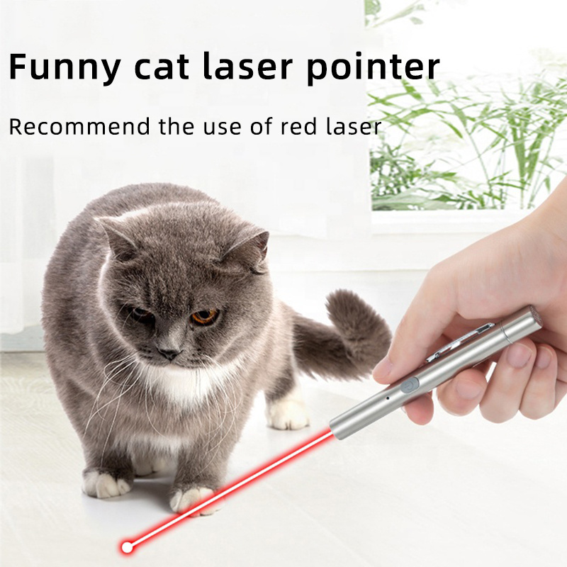 High Powerful Green Laser Stars Cat Toy Flashlight USB Rechargeable Laser led presenter torch