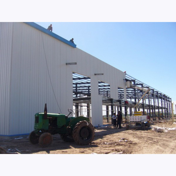 Wholesale galvanized light heavy gauge steel frame steel structure wall partition steel frame warehouse Building