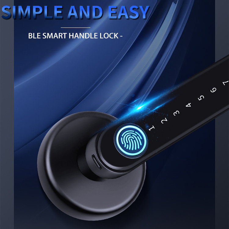 European Modern Style Apartment Home Room Zinc Alloy Fingerprint Lever Handle Door Lock Intelligent Interior Smart Lock