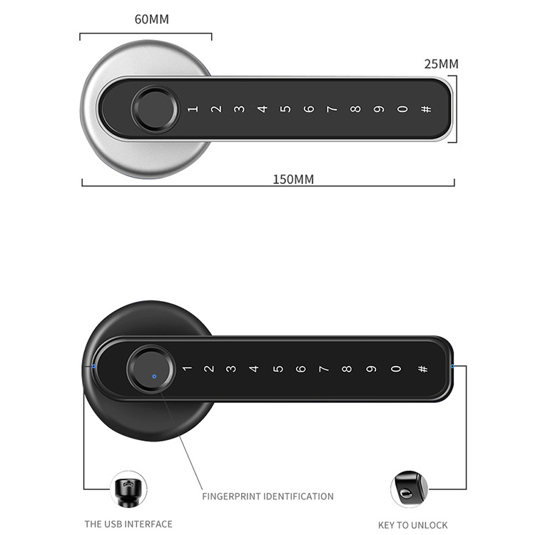 European Modern Style Apartment Home Room Zinc Alloy Fingerprint Lever Handle Door Lock Intelligent Interior Smart Lock