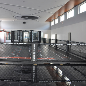 Professional  elevated 4m*4m-6m*6m ufc mma octagon cage for sale