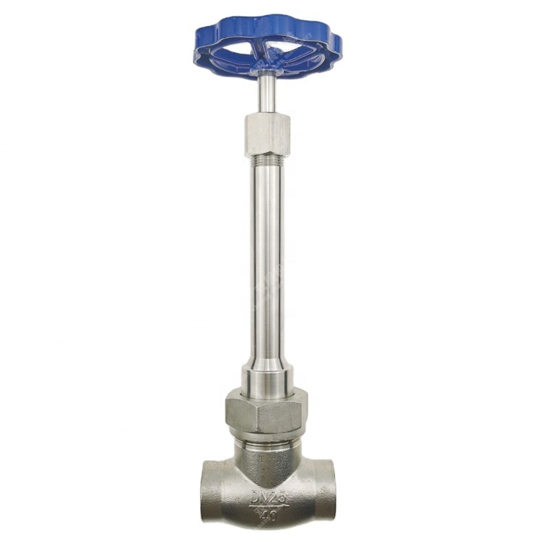 LNG valve for cryogenic liquids and refrigerants Cryogenic SS304 4Mpa DN25 Socket Weld Globe Valve