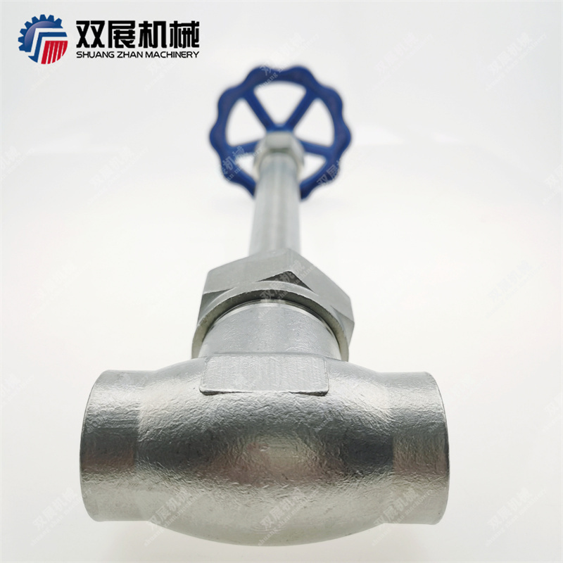 LNG valve for cryogenic liquids and refrigerants Cryogenic SS304 4Mpa DN25 Socket Weld Globe Valve