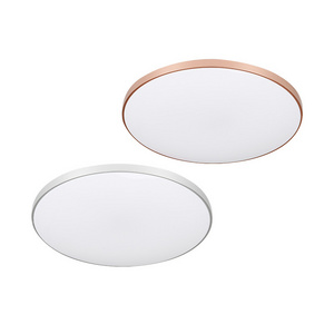 Bathroom Balcony Bedroom Ceiling Surface Mount Led Panel Light Round Ceiling Panel Light Waterproof Ultra-Thin Led Ceiling Light