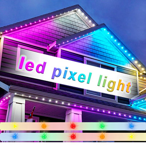 gouly Custom rgbw led pixel point lights 2904 landscape  rgb outdoor permanent christmas lights led for building roof