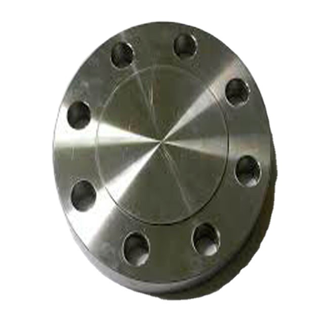 Professional Api 6a Wellhead Blind Flange For Sale