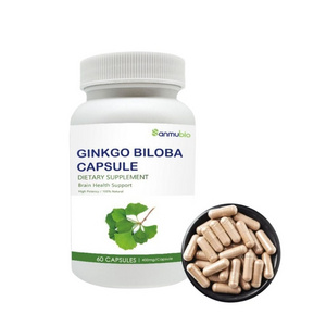 OEM Ginkgo Bulk Vegan Capsules Maximum Strength Ginkgo Biloba Extract Capsules