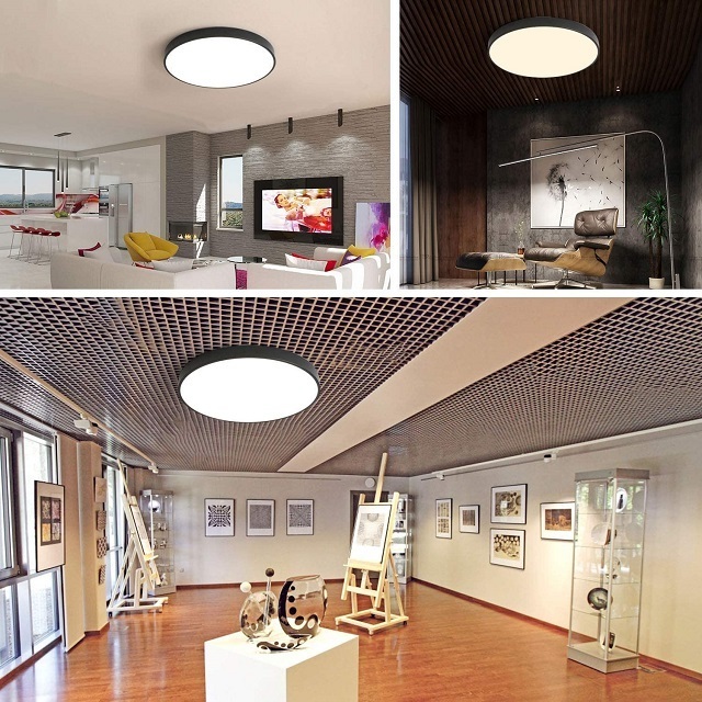 Modern LED Ceiling Light Contemporary Ceiling Lamps for Dining Room Round Surface Mounted Led Ceiling Lamp