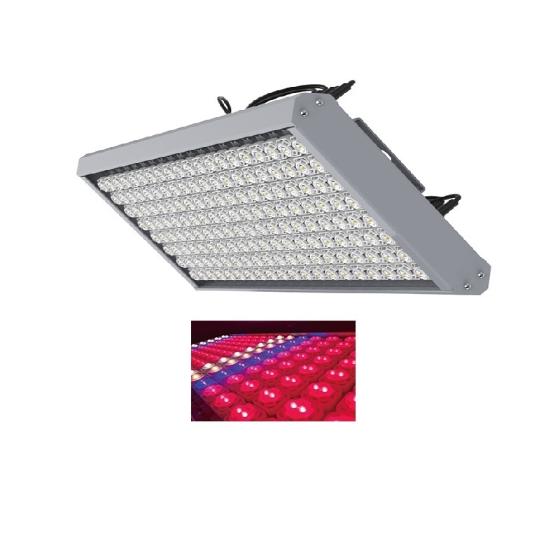 LED Grow Plant Light Replace 1000w HPS From China Vertical Farming LED Grow Light for Indoor Garden