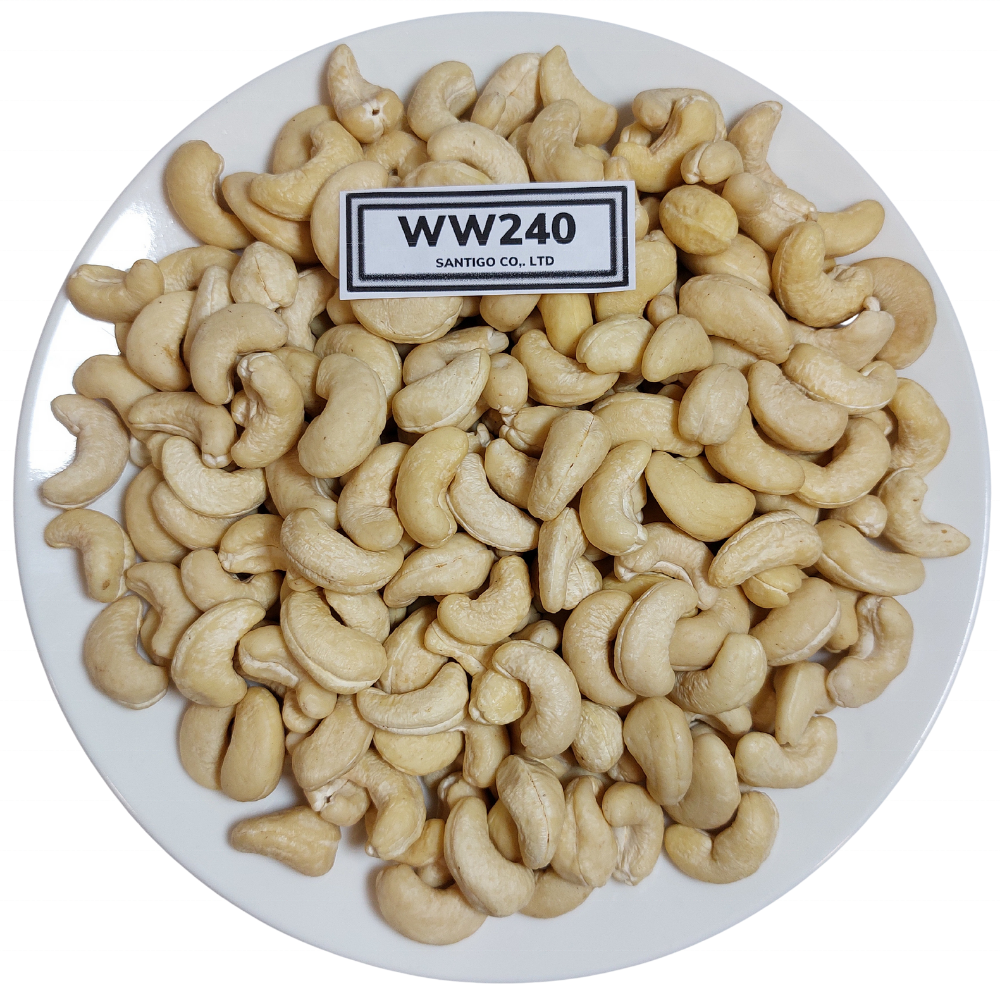 Wholesale Raw Cashew Nuts Price Roasted Cashew Raw Healthy Snacks Organic Raw Cashew Nuts In Shell