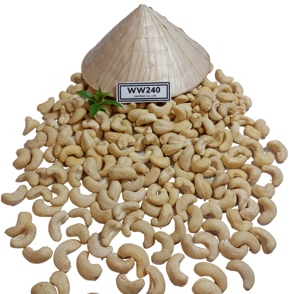 Wholesale Raw Cashew Nuts Price Roasted Cashew Raw Healthy Snacks Organic Raw Cashew Nuts In Shell