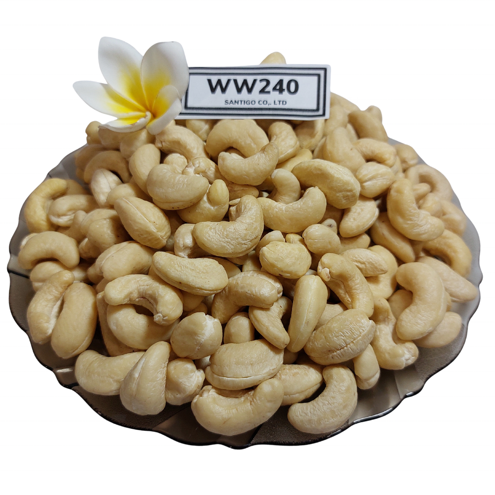 Wholesale Raw Cashew Nuts Price Roasted Cashew Raw Healthy Snacks Organic Raw Cashew Nuts In Shell