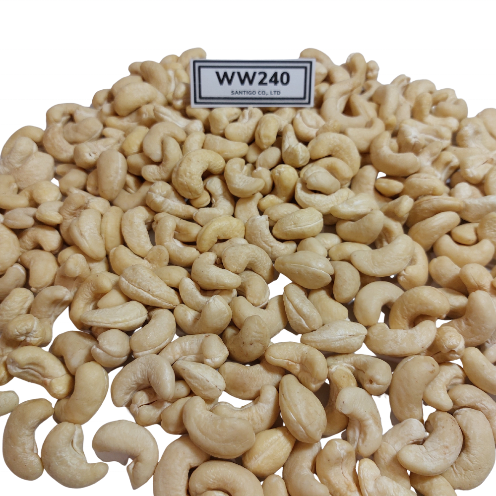 Wholesale Raw Cashew Nuts Price Roasted Cashew Raw Healthy Snacks Organic Raw Cashew Nuts In Shell