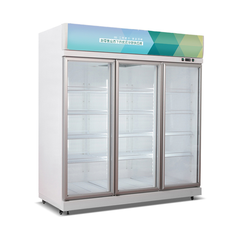 Double door freezer refrigerator fridge pepsi refrigerator redbull energy refrigerator for supermarket