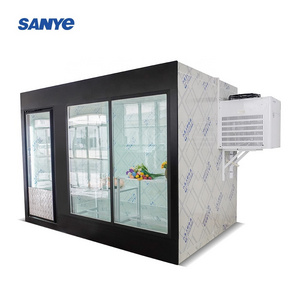 Air Cooling Display Glass  Door Upright Freezer Cold Room Walk-In Cooler Freezer