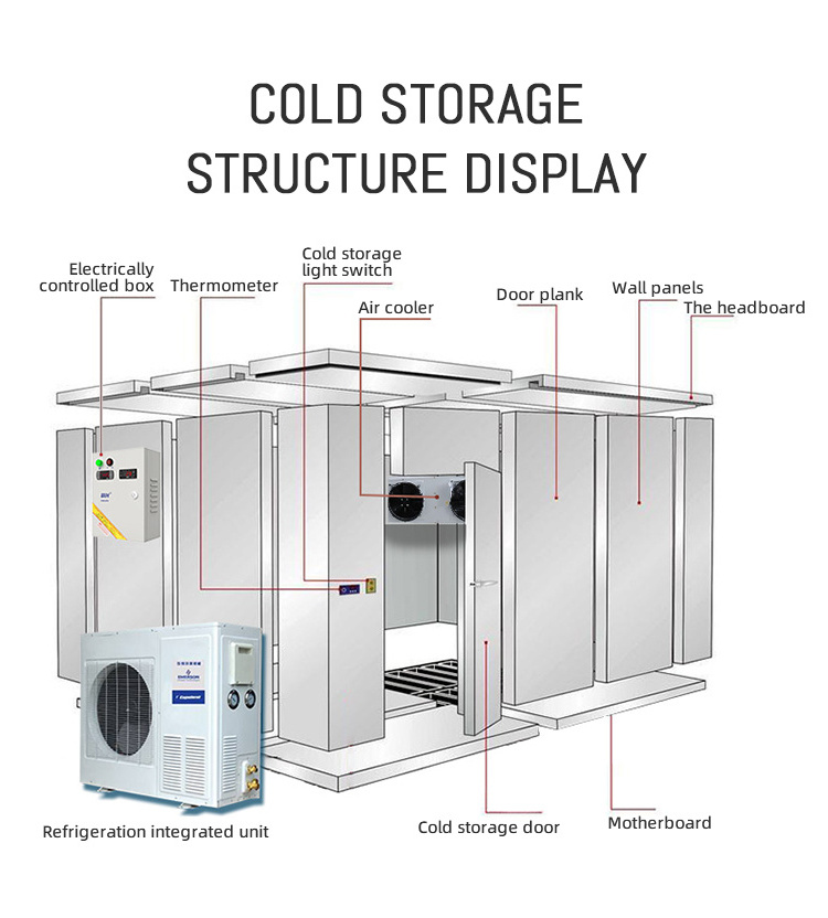 Walk In Cold Freezer Storage Room Cold Storage Refrigeration Container For Fish and Chicken