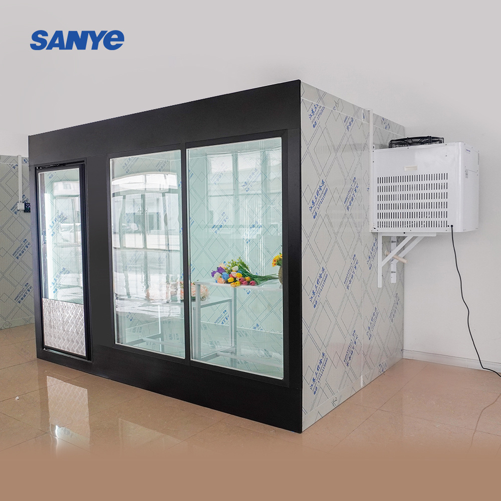 Air Cooling Display Glass  Door Upright Freezer Cold Room Walk-In Cooler Freezer