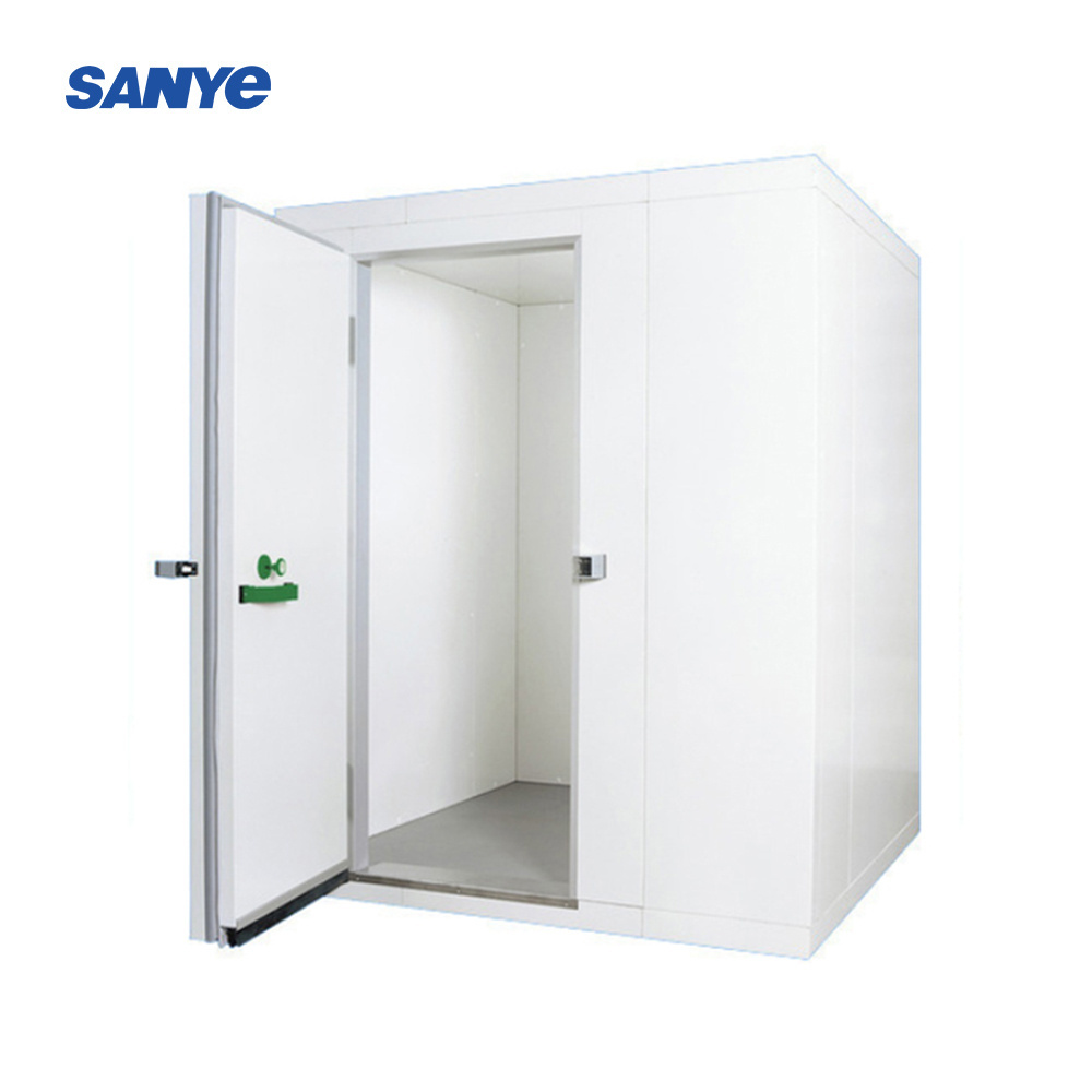 Walk In Cold Freezer Storage Room Cold Storage Refrigeration Container For Fish and Chicken