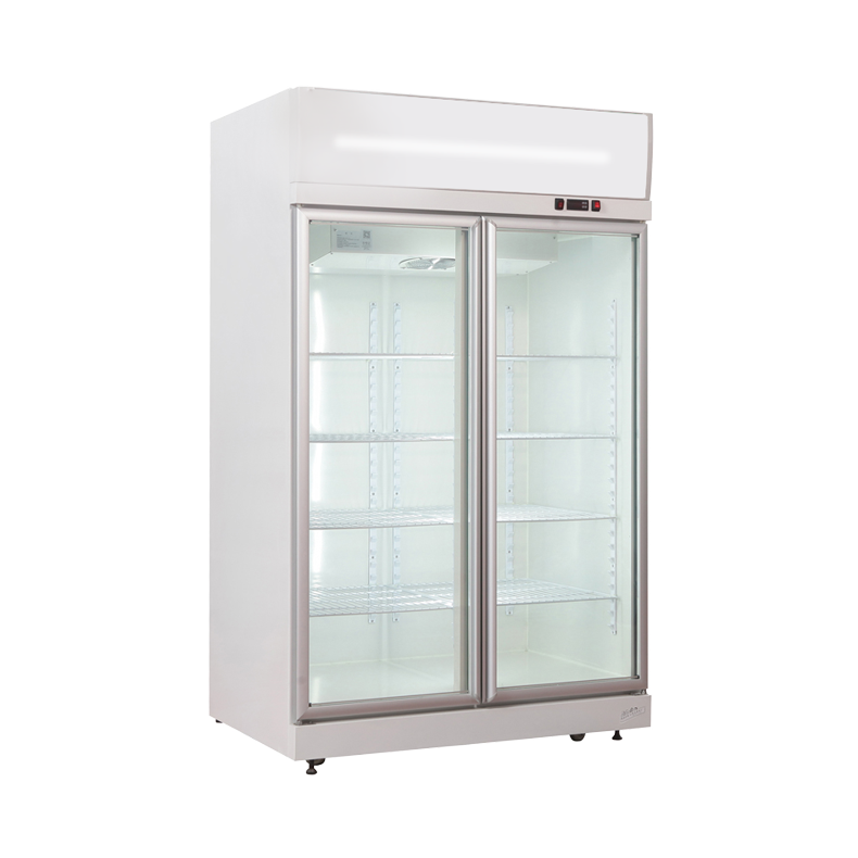 Double door freezer refrigerator fridge pepsi refrigerator redbull energy refrigerator for supermarket