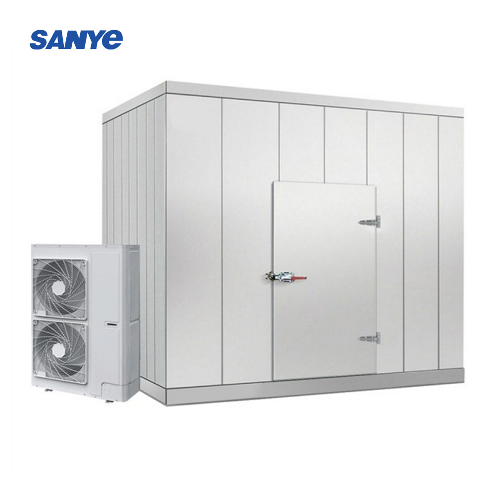 Walk In Cold Freezer Storage Room Cold Storage Refrigeration Container For Fish and Chicken