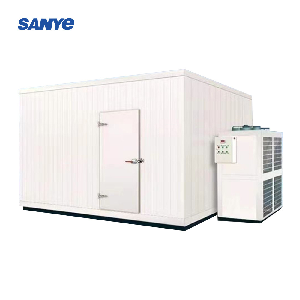 Walk In Cold Freezer Storage Room Cold Storage Refrigeration Container For Fish and Chicken