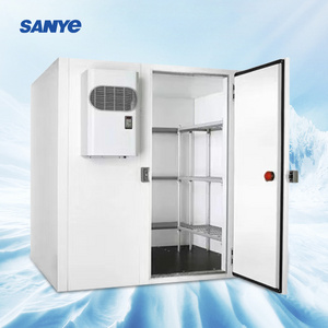 Walk In Cold Freezer Storage Room Cold Storage Refrigeration Container For Fish and Chicken