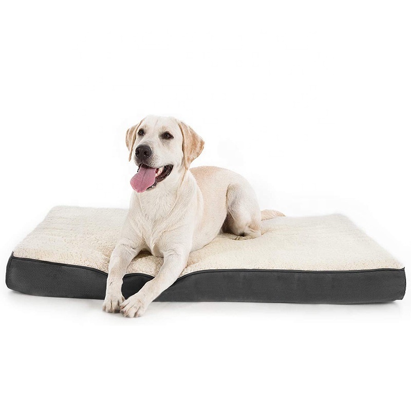 Dog Bed for Large Dogs, Big Orthopedic Egg Crate Foam Dog Pad with Removable Washable Cover, Pet Bed Mat