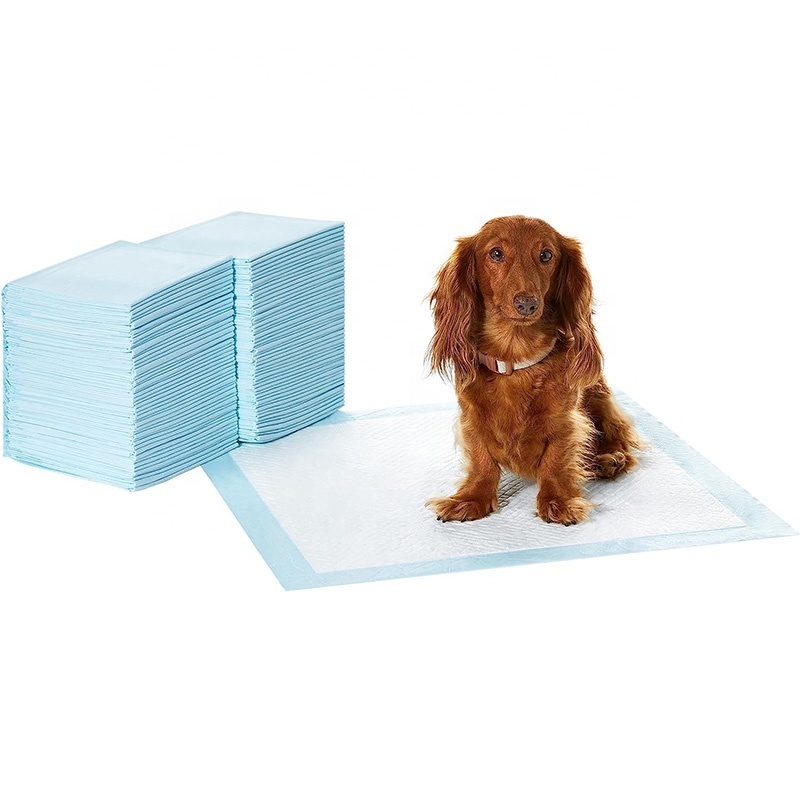 Oem waterproof wholesale puppy diaper training disposable pet urine pee absorption and potty wee pads for dog padding