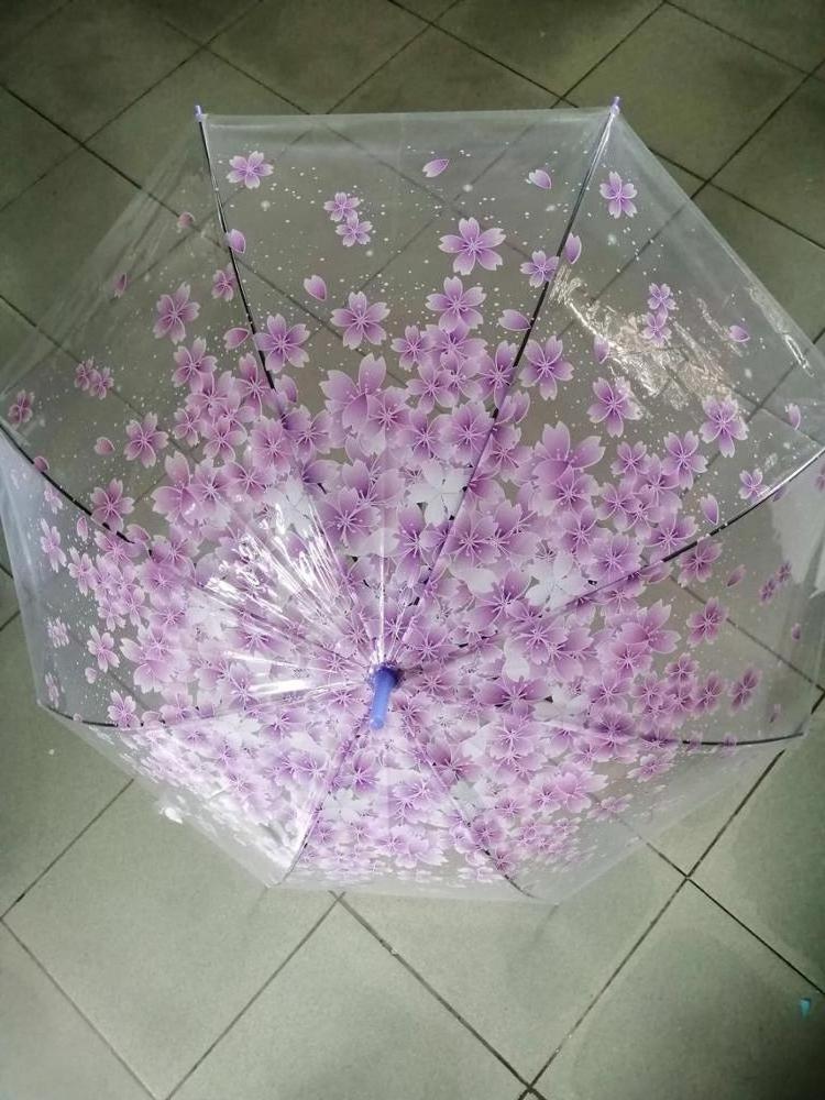 Factory promotion clear transparent umbrella princess flower Japan sakura umbrella parasol low price nice umbrelle for girl