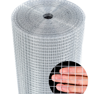 Wholesale Price 1/2x1 1x1 Hot Dipped Galvanized Iron Welded Wire Mesh/PVC Coated Welded Wire Netting